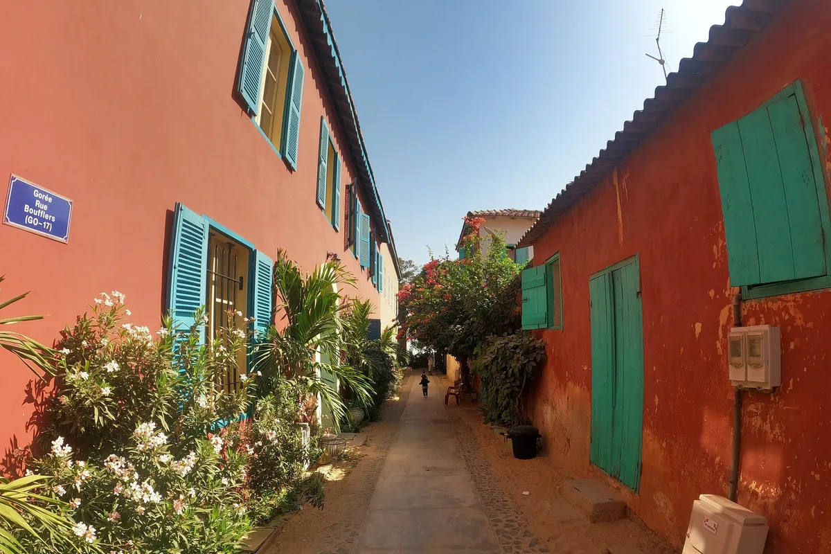 Une ruelle de Gorée entre des maisons rouges aux volets bleus et verts, bordée d’arbustes en fleurs