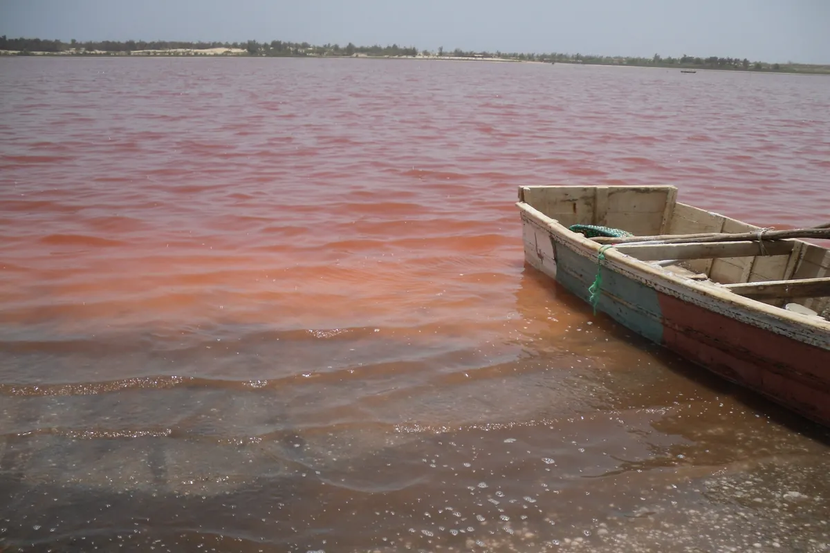 L’eau rose du lac Rose bordée d’écume, avec une barque de ramasseur de sel