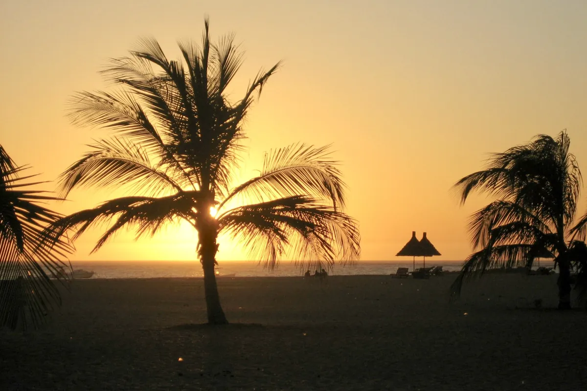 Le soleil se couche derrière un palmier sur une plage près de Saly